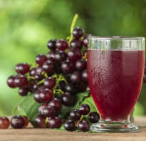 Натуральный виноградный сок польза и вред. Сок из винограда: польза и вред, простые рецепты