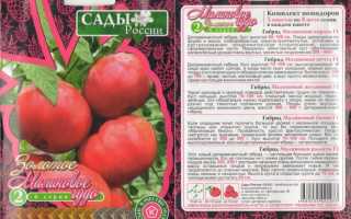 Помидоры малиновое чудо 3 серии отзывы. Отзывы о помидорах «Малиновое чудо»: аромат и отменный вкус