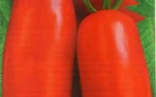 Томат супермодель фото. Описание и выращивание томата «Супермодель» для открытого грунта