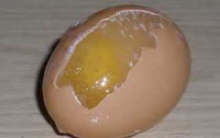 Можно ли замораживать яичные желтки. Как правильно заморозить куриные яйца