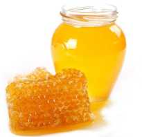Майский мед почему ценится. Какой мед полезнее?