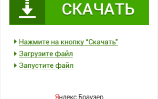 Сообщение о утки мандаринки 4 класс. Презентация ученицы 4 класса Давыденко Евгении ” Утка-мандаринка”