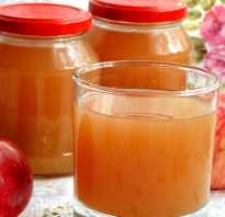 Отжим яблочного сока в домашних условиях. Как приготовить яблочный сок в домашних условиях?