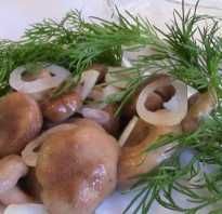 Приготовление грибов горчаков.