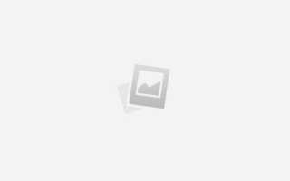 Украинская утка фото. Украинская серая утка: фото, характеристики и описание породы